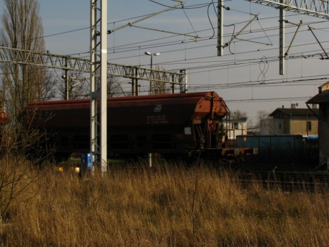 Kliknij na zdjęcie, żeby zobaczyć w pełnych wymiarach