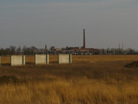 Kliknij na zdjęcie, żeby zobaczyć w pełnych wymiarach