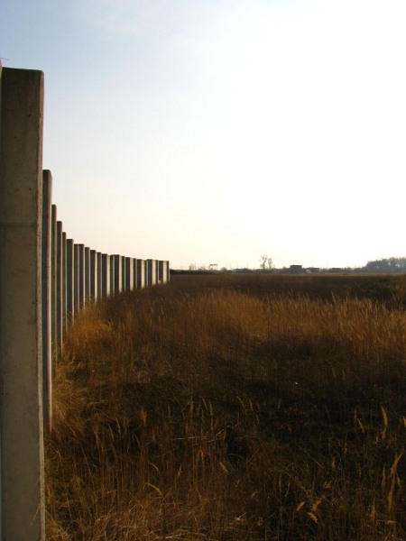 Kliknij na zdjęcie, żeby zobaczyć w pełnych wymiarach