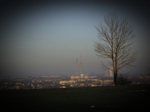 Kliknij na zdjęcie, żeby zobaczyć w pełnych wymiarach