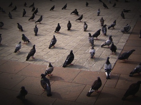 Kliknij na zdjęcie, żeby zobaczyć w pełnych wymiarach