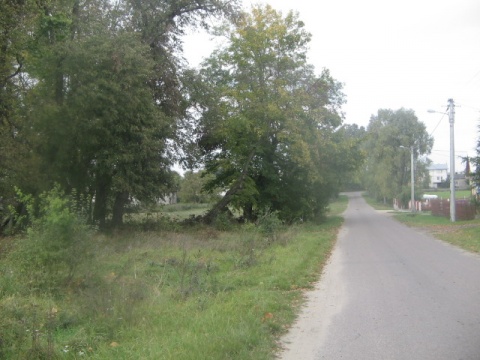 Kliknij na zdjęcie, żeby zobaczyć w pełnych wymiarach