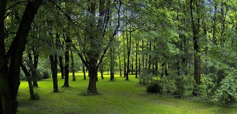 Kliknij na zdjęcie, żeby zobaczyć w pełnych wymiarach