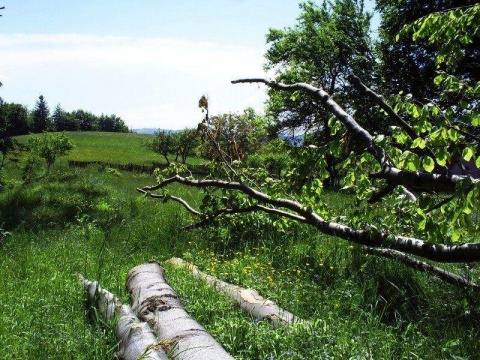 Kliknij na zdjęcie, żeby zobaczyć w pełnych wymiarach
