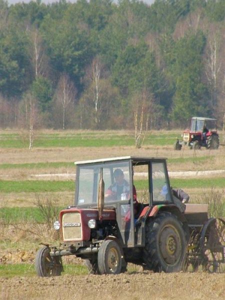Kliknij na zdjęcie, żeby zobaczyć w pełnych wymiarach