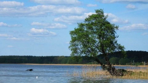 Kliknij na zdjęcie, żeby zobaczyć w pełnych wymiarach