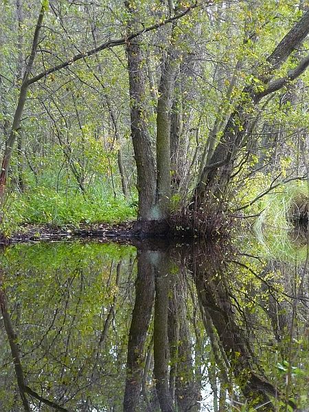 Kliknij na zdjęcie, żeby zobaczyć w pełnych wymiarach