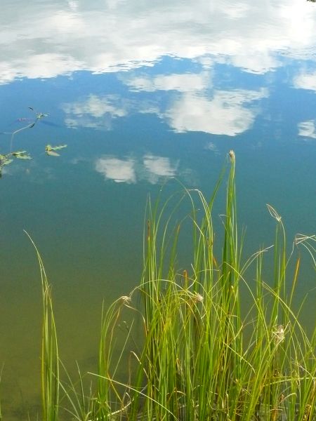 Kliknij na zdjęcie, żeby zobaczyć w pełnych wymiarach