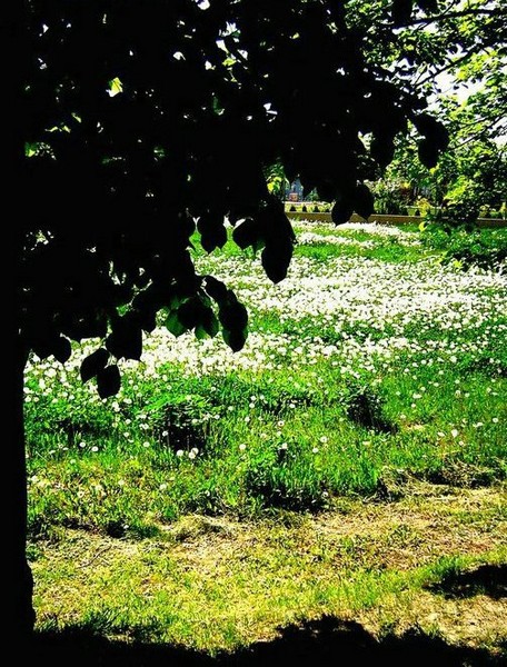 Kliknij na zdjęcie, żeby zobaczyć w pełnych wymiarach