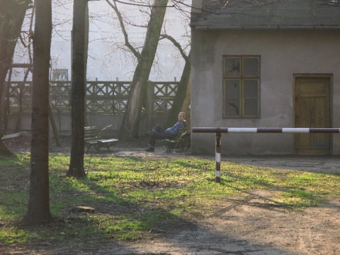 Kliknij na zdjęcie, żeby zobaczyć w pełnych wymiarach