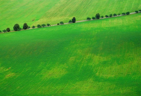 Kliknij na zdjęcie, żeby zobaczyć w pełnych wymiarach