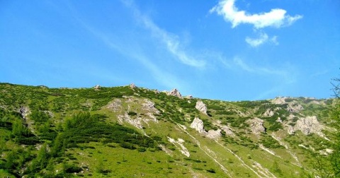 Kliknij na zdjęcie, żeby zobaczyć w pełnych wymiarach