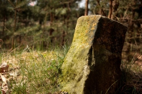 Kliknij na zdjęcie, żeby zobaczyć w pełnych wymiarach