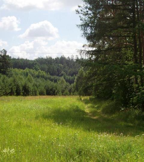Kliknij na zdjęcie, żeby zobaczyć w pełnych wymiarach