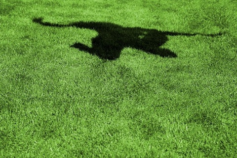 Kliknij na zdjęcie, żeby zobaczyć w pełnych wymiarach