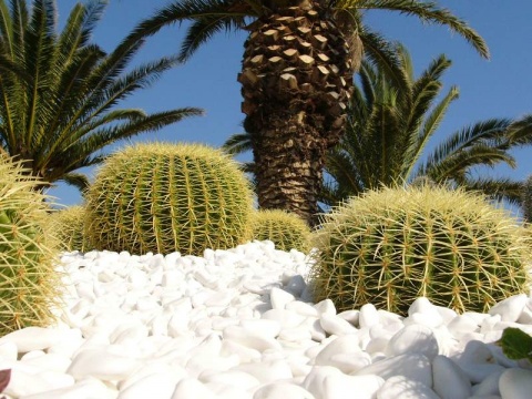 Kliknij na zdjęcie, żeby zobaczyć w pełnych wymiarach