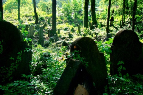 Kliknij na zdjęcie, żeby zobaczyć w pełnych wymiarach