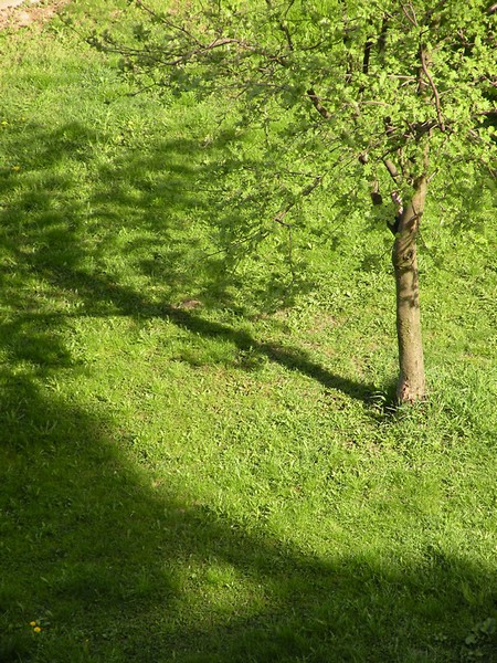 Kliknij na zdjęcie, żeby zobaczyć w pełnych wymiarach