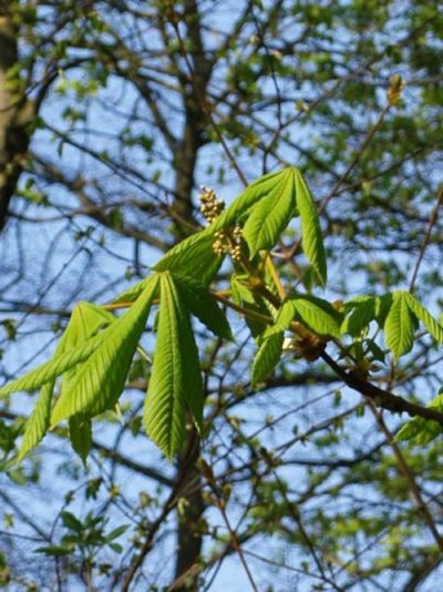 Kliknij na zdjęcie, żeby zobaczyć w pełnych wymiarach