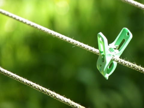 Kliknij na zdjęcie, żeby zobaczyć w pełnych wymiarach