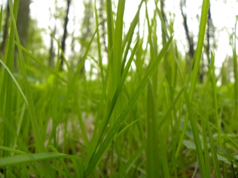 Kliknij na zdjęcie, żeby zobaczyć w pełnych wymiarach