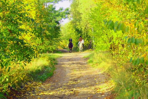 Kliknij na zdjęcie, żeby zobaczyć w pełnych wymiarach