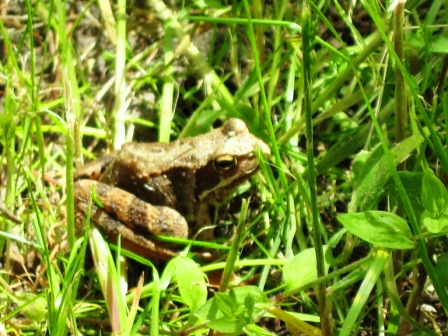 Kliknij na zdjęcie, żeby zobaczyć w pełnych wymiarach