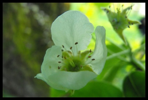 Kliknij na zdjęcie, żeby zobaczyć w pełnych wymiarach
