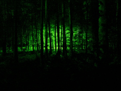 Kliknij na zdjęcie, żeby zobaczyć w pełnych wymiarach