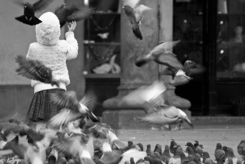 Kliknij na zdjęcie, żeby zobaczyć w pełnych wymiarach