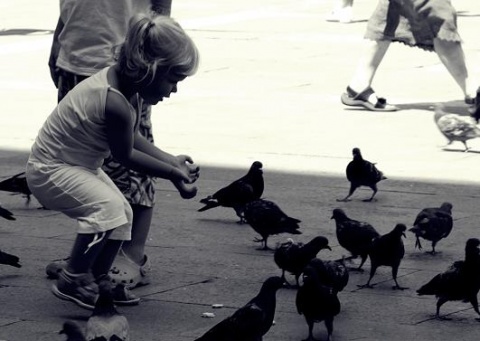 Kliknij na zdjęcie, żeby zobaczyć w pełnych wymiarach