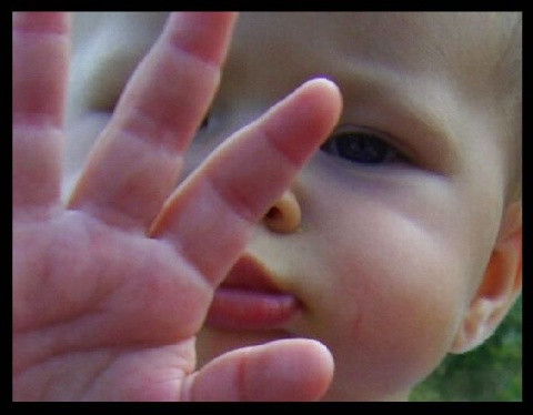 Kliknij na zdjęcie, żeby zobaczyć w pełnych wymiarach