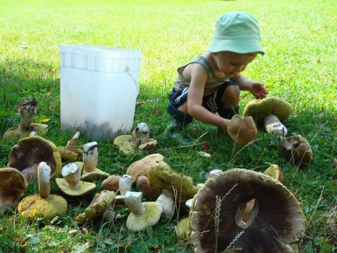 Kliknij na zdjęcie, żeby zobaczyć w pełnych wymiarach