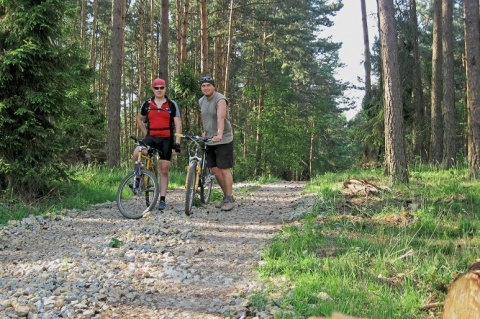 Kliknij na zdjęcie, żeby zobaczyć w pełnych wymiarach