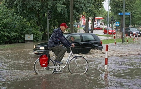 Kliknij na zdjęcie, żeby zobaczyć w pełnych wymiarach