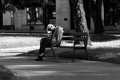 Kliknij na zdjęcie, żeby zobaczyć w pełnych wymiarach