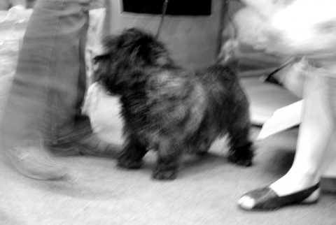 Kliknij na zdjęcie, żeby zobaczyć w pełnych wymiarach