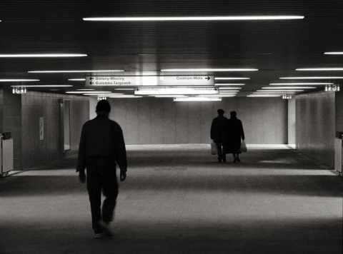 Kliknij na zdjęcie, żeby zobaczyć w pełnych wymiarach