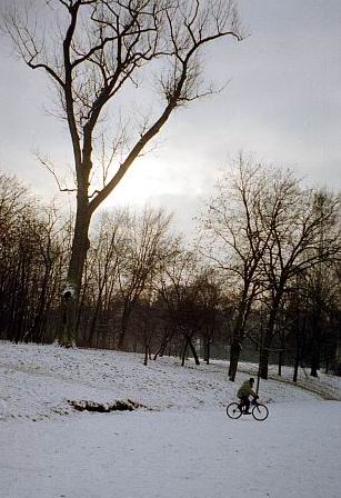 Kliknij na zdjęcie, żeby zobaczyć w pełnych wymiarach