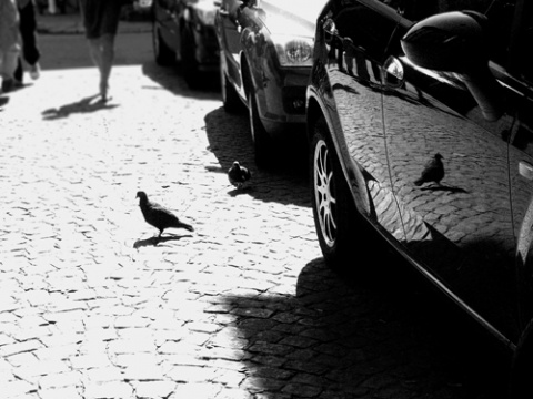 Kliknij na zdjęcie, żeby zobaczyć w pełnych wymiarach