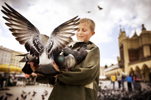 Kliknij na zdjęcie, żeby zobaczyć w pełnych wymiarach