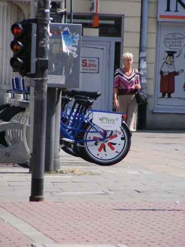 Kliknij na zdjęcie, żeby zobaczyć w pełnych wymiarach