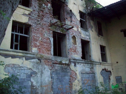 Kliknij na zdjęcie, żeby zobaczyć w pełnych wymiarach