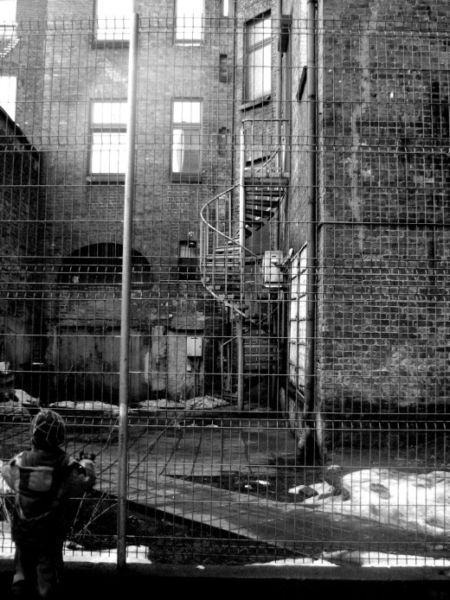 Kliknij na zdjęcie, żeby zobaczyć w pełnych wymiarach