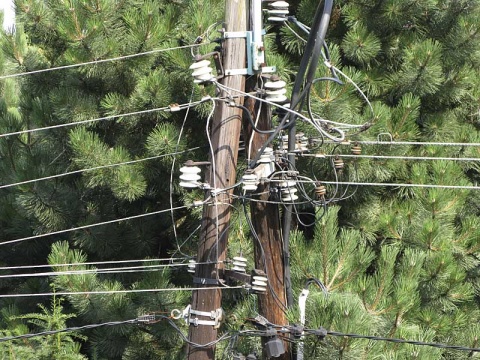 Kliknij na zdjęcie, żeby zobaczyć w pełnych wymiarach