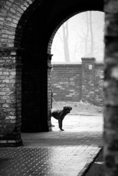 Kliknij na zdjęcie, żeby zobaczyć w pełnych wymiarach