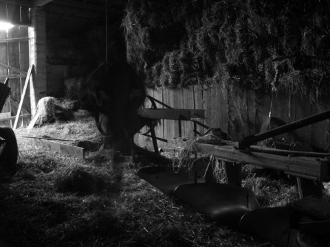 Kliknij na zdjęcie, żeby zobaczyć w pełnych wymiarach