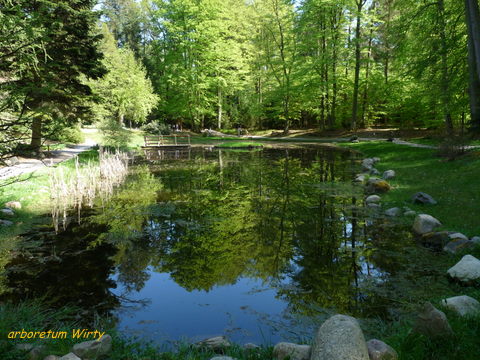 Kliknij na zdjęcie, żeby zobaczyć w pełnych wymiarach