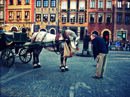 Kliknij na zdjęcie, żeby zobaczyć w pełnych wymiarach