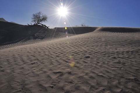 Kliknij na zdjęcie, żeby zobaczyć w pełnych wymiarach